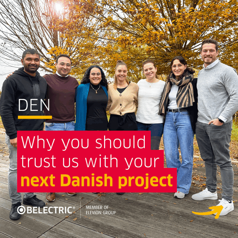 A group of cheerful employees stands in front of an autumnal tree in the foreground: Why you should trust US with your next danish project