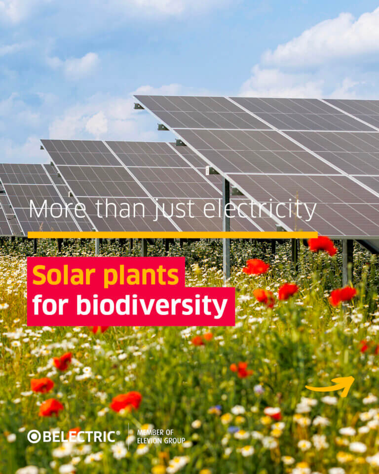 Several solar modules on a flower meadow with the slogan more than electricity solar systems for biodiversity